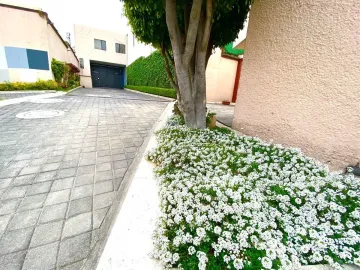 Casa en venta en Lomas Quebradas, La Magdalena Contreras, Ciudad de México
