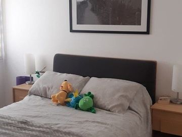 DEPARTAMENTO EN RENTA EN REAL 8