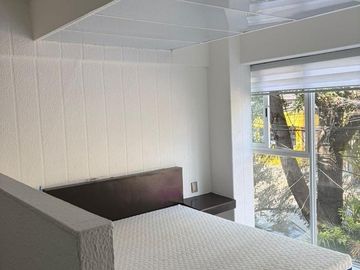 Hermoso Departamento en la Colonia Roma con Bonita Vista