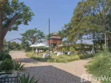 4 Bedroom Retail space for sale in Pa Daet, Chiang Mai