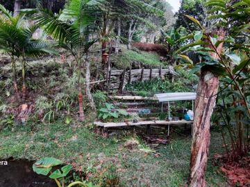 Finca en venta en rionegro - la convención