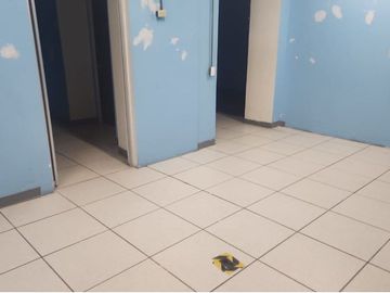 Local Comercial en Renta Sobre Av. Alcalde.		$79,000