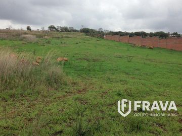 TERRENO EN VENTA EN LA PROVIDENCIA TEPATITLAN JALISCO