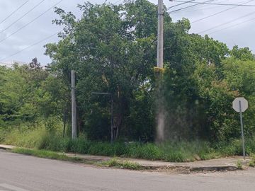 Terreno en Renta en Temozon Norte