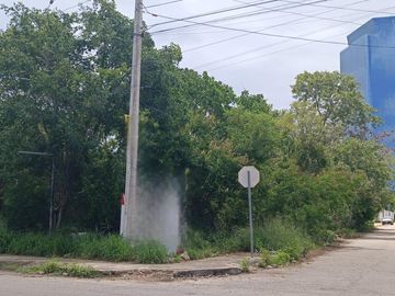 Terreno en Renta en Temozon Norte