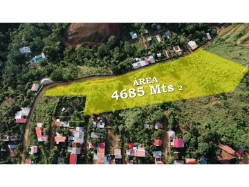 SE VENDE TERRENO URBANO CON ALMA RUSTICA EN TARAPOTILLO, TARAPOTO