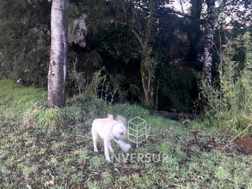 Parcela en venta  en VILCÚN