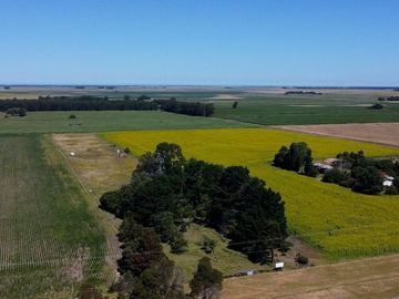VENTA QUINTA DE 2 HECTARES RUTA 88 LA BALLENERA