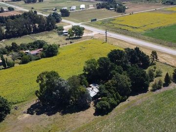 VENTA QUINTA DE 2 HECTARES RUTA 88 LA BALLENERA