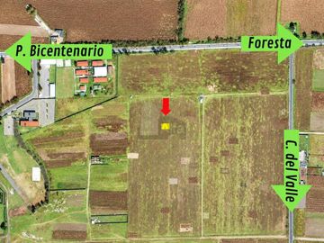 Terreno en venta (Ejido), Alvaro Obregon, Metepec.