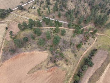 Terreno Ejidal listo para Escriturar, 5 lotes de 3000 m2 c/u, en Juanacatlan