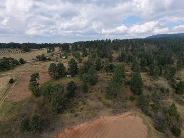 Terreno Ejidal listo para Escriturar, 5 lotes de 3000 m2 c/u, en Juanacatlan