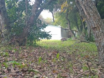 CASA 2 DORMITORIOS EN VENTA EN PUNTA INDIO