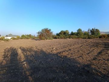 PARCELA DE 5.500 M2 CONDOMINIO POLO DE MANQUEHUE I CHICUREO