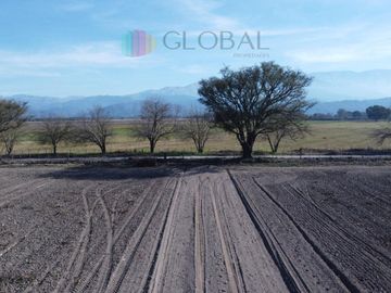 Finca en Chicoana