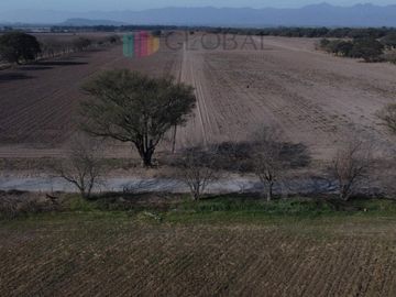 Finca en Chicoana