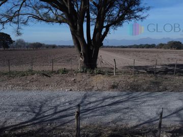 Finca en Chicoana