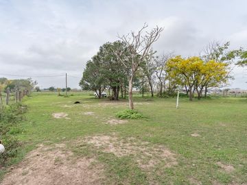 VENTA - Campo - Perez.