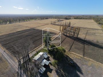 Venta - Chacra de 60 hectáreas en Catriel - R030