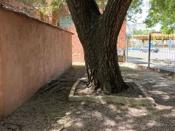 Local en Lujan
