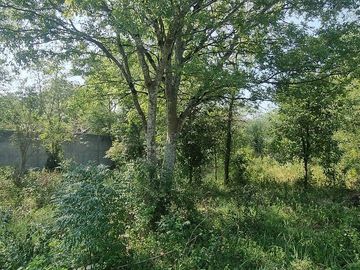 Venta de terreno en Santiago
