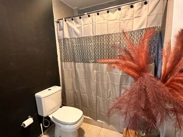 VENTA DE CASA Y VIÑEDO, CALLE LA POSTA S/N,JUNIN, CON TOUR VIRTUAL