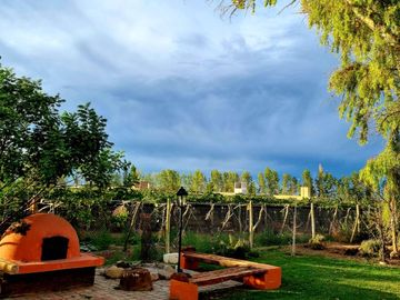 VENTA DE CASA Y VIÑEDO, CALLE LA POSTA S/N,JUNIN, CON TOUR VIRTUAL
