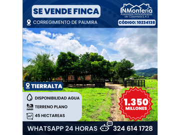 SE VENDE FINCA EN CORREGIMIENTO PALMIRA, MUNICIPIO DE TIERRALTA