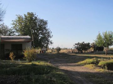 Terreno 2,5 has en Venta La Consulta Valle de Uco