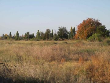 Terreno 2,5 has en Venta La Consulta Valle de Uco