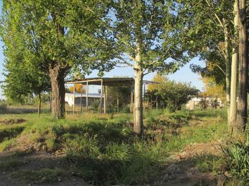 Terreno 2,5 has en Venta La Consulta Valle de Uco