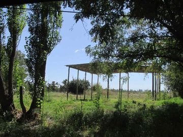 Terreno 2,5 has en Venta La Consulta Valle de Uco
