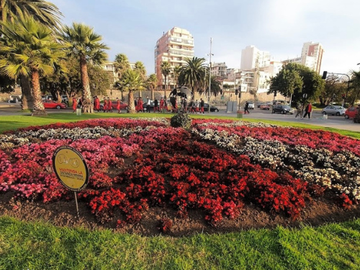GRAN DEPTO  VISTA A RELOJ DE FLORES