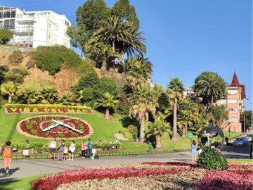 GRAN DEPTO  VISTA A RELOJ DE FLORES