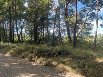 PARCELAS EN VENTA EN MULCHÉN DESDE 5300 M CON ROL PROPIO