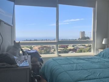Departamento en Arriendo en Avenida Central 777