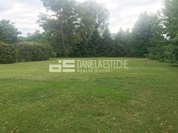 D. Esteche Realty