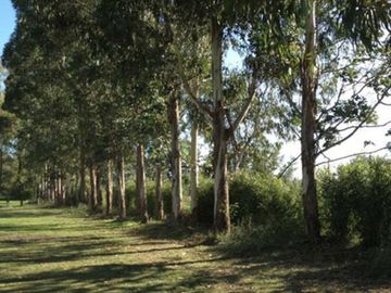 Terreno en  Santo Tomas