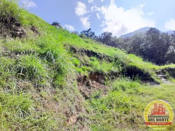 Terreno en Venta Ubicado en Copacabana Codigo 5977