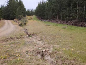 Parcela en venta  en CHEPICA