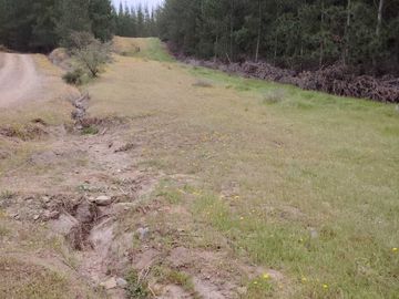 Parcela en venta  en CHEPICA