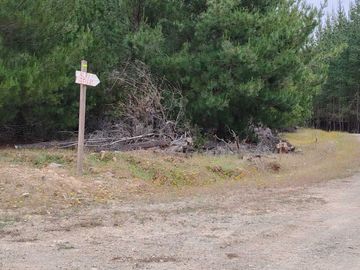 Parcela en venta  en CHEPICA