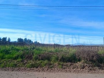 Parcela en venta  en CHIMBARONGO