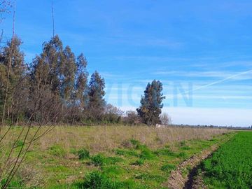 Parcela en venta  en CHIMBARONGO