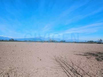Parcela en venta  en CHIMBARONGO