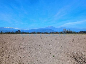 Parcela en venta  en CHIMBARONGO