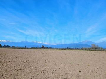 Parcela en venta  en CHIMBARONGO