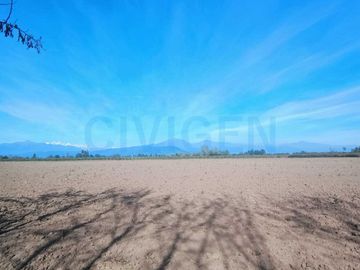 Parcela en venta  en CHIMBARONGO