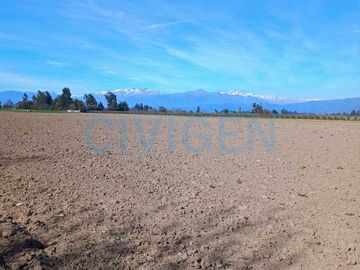 Parcela en venta  en CHIMBARONGO