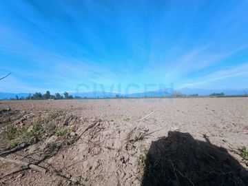 Parcela en venta  en CHIMBARONGO